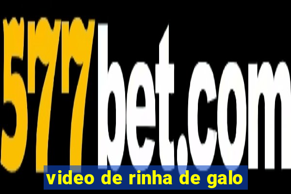 video de rinha de galo